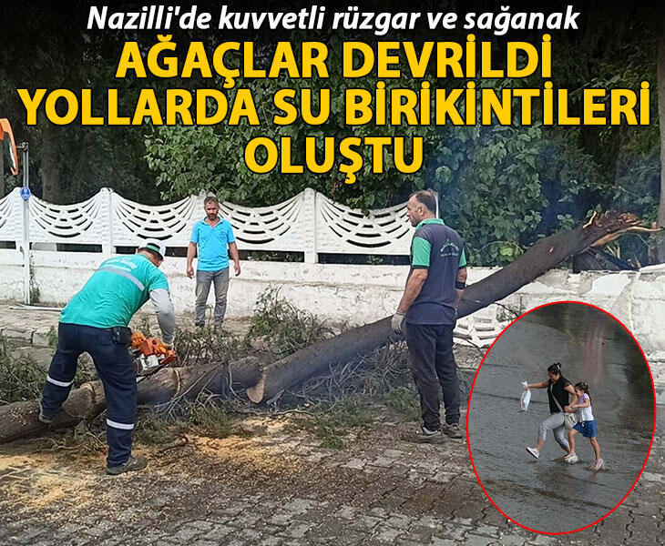 Nazillide kuvvetli rüzgar ve sağanak ağaçlar devrildi yollarda su birikintileri oluştu