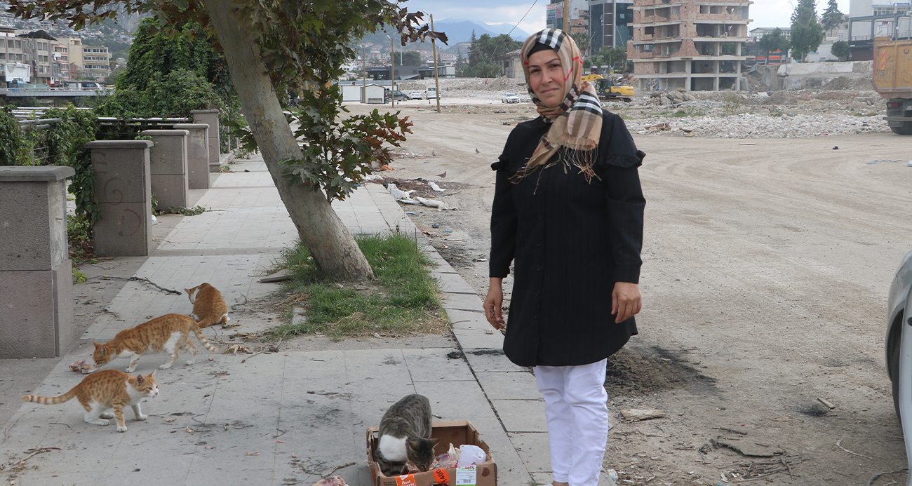 Sağlık çalışanı sayıları 100ü aşan sokak hayvanlarının umudu oldu