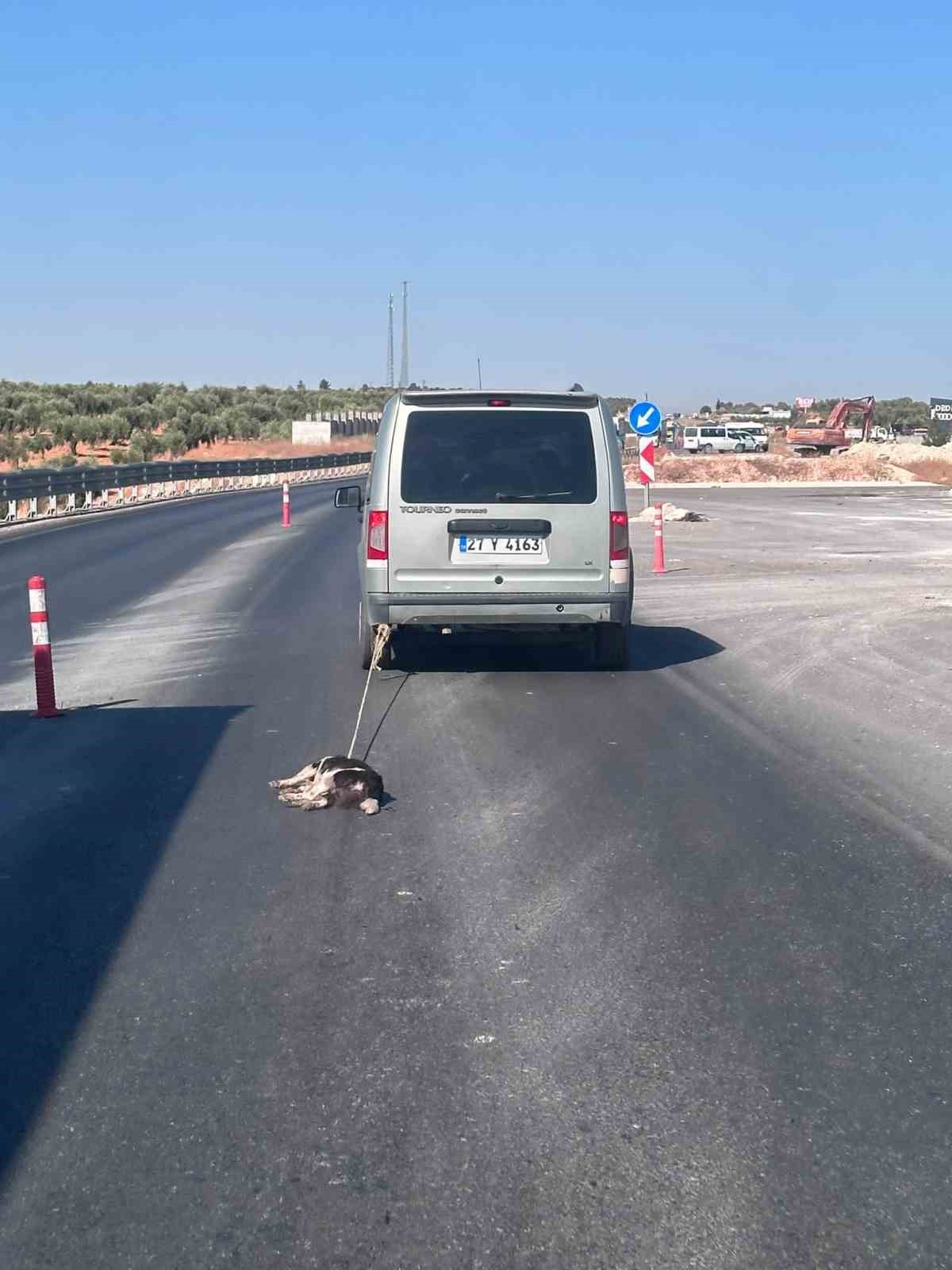 Köpeği aracına bağlayıp sürükledi