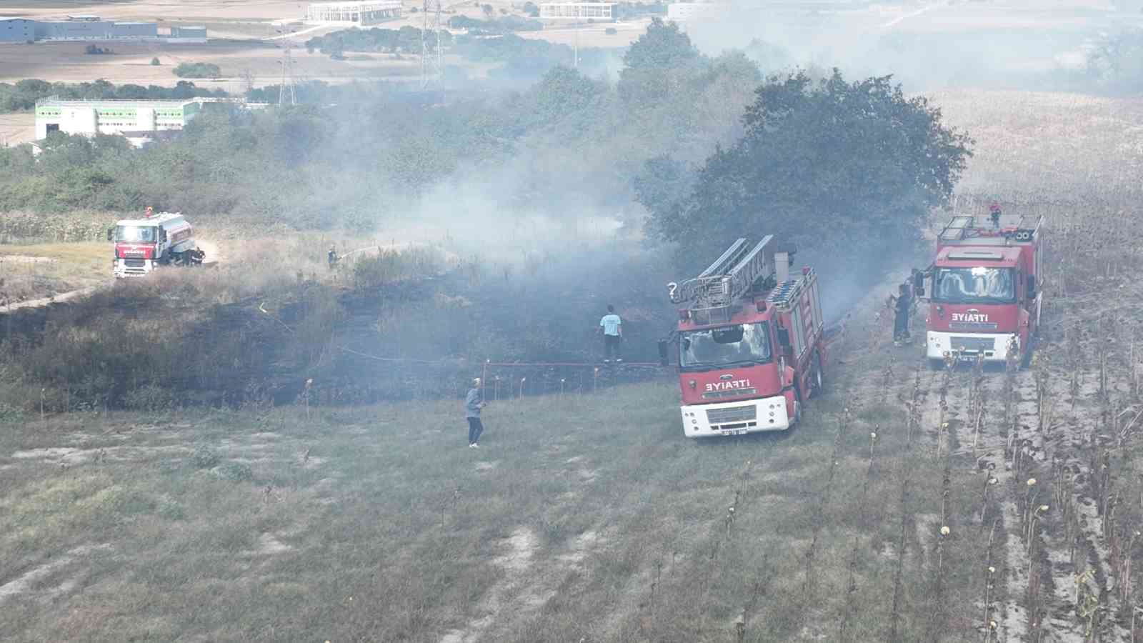 Tekirdağda korkutan orman yangını Yüksek gerilim hattı zarar gördü