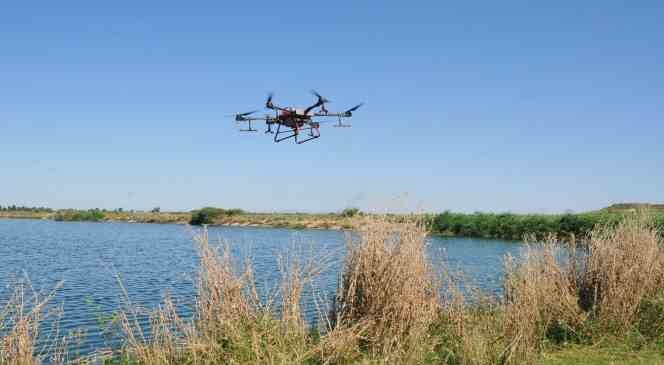 Akşehir de kronomid sineğine dron ile mücadele